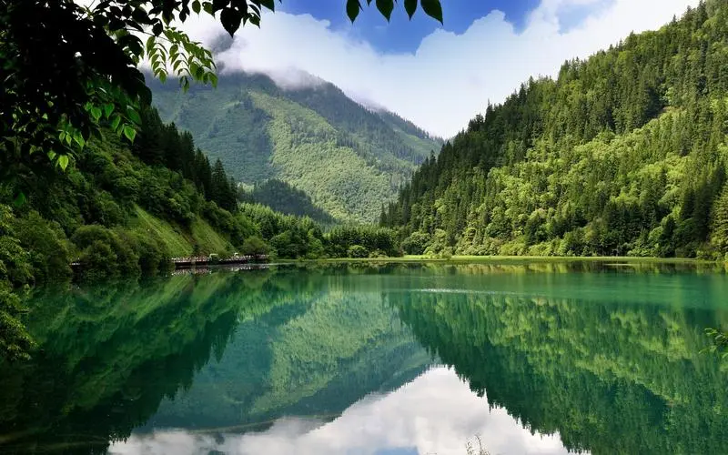 高效高端智能